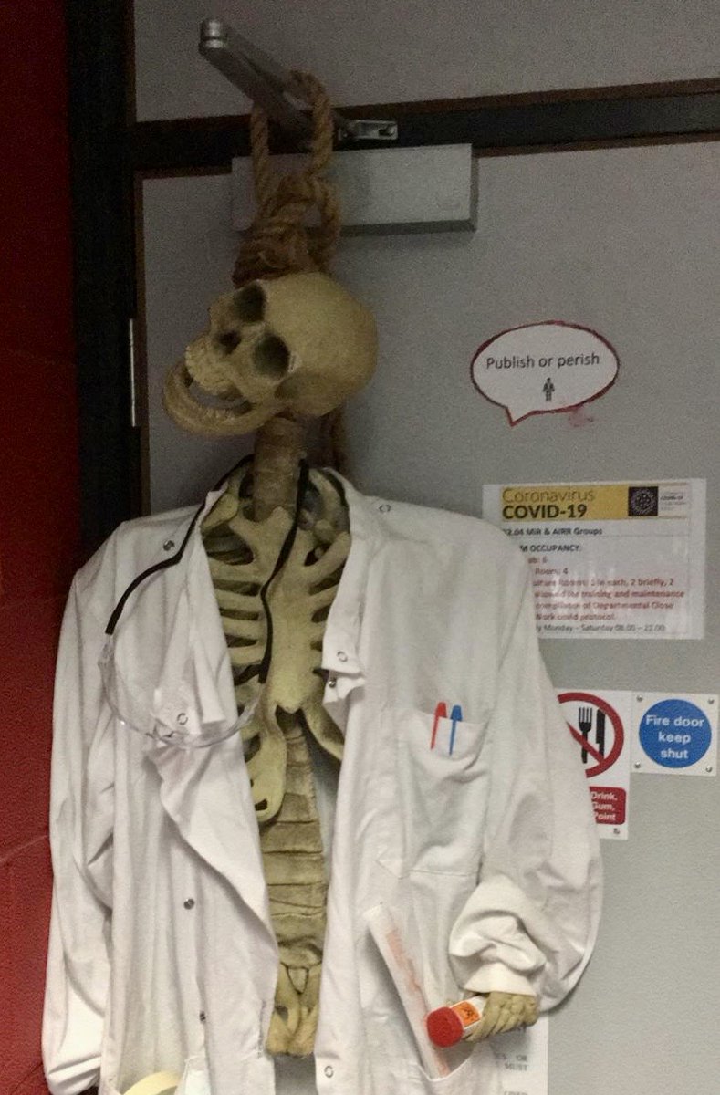 Eóin McNamee (@e_mcnameelab) on Twitter photo Not sure if our labs members are upping their #labart game for Halloween (after we narrowly lost the <a href="/MaynoothBiology/">Maynooth Biology</a> Xmas lab 2020 competition #FIX)
......... or passive-aggressively telling me their overworked #PublishorPerish
<a href="/TheMastersonLab/">Dr. Joanne Masterson</a> <a href="/Ciara__Flynn/">Ciára Flynn</a> <a href="/LaurenM_Flynn/">Lauren Flynn</a> Not sure if our labs members are upping their #labart game for Halloween (after we narrowly lost the <a href="/MaynoothBiology/">Maynooth Biology</a> Xmas lab 2020 competition #FIX)
......... or passive-aggressively telling me their overworked #PublishorPerish
<a href="/TheMastersonLab/">Dr. Joanne Masterson</a> <a href="/Ciara__Flynn/">Ciára Flynn</a> <a href="/LaurenM_Flynn/">Lauren Flynn</a>