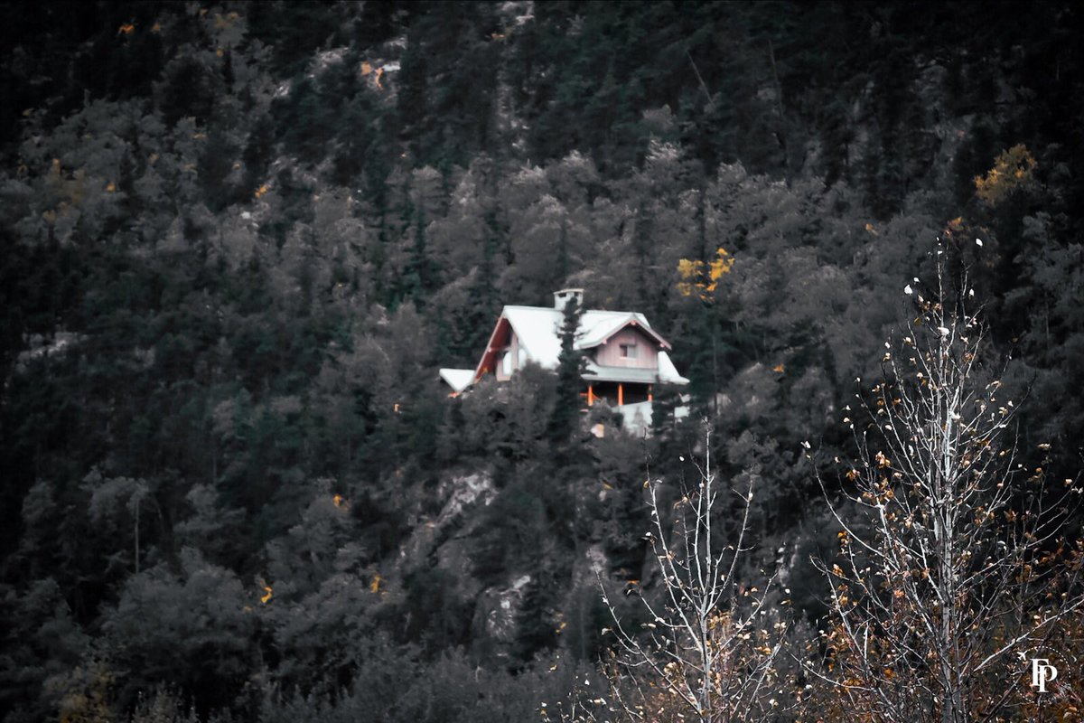 KelleFraser's tweet photo. This house! 😍 It’s a little blurry because we were on a moving train, but it’s still lovely! 

While visiting Skagway, Alaska, we were able to take a ride on the White Pass &amp; Yukon Route train! It’s was an incredible experience and the views were amazing! https://t.co/Q8W6hG8Dfc