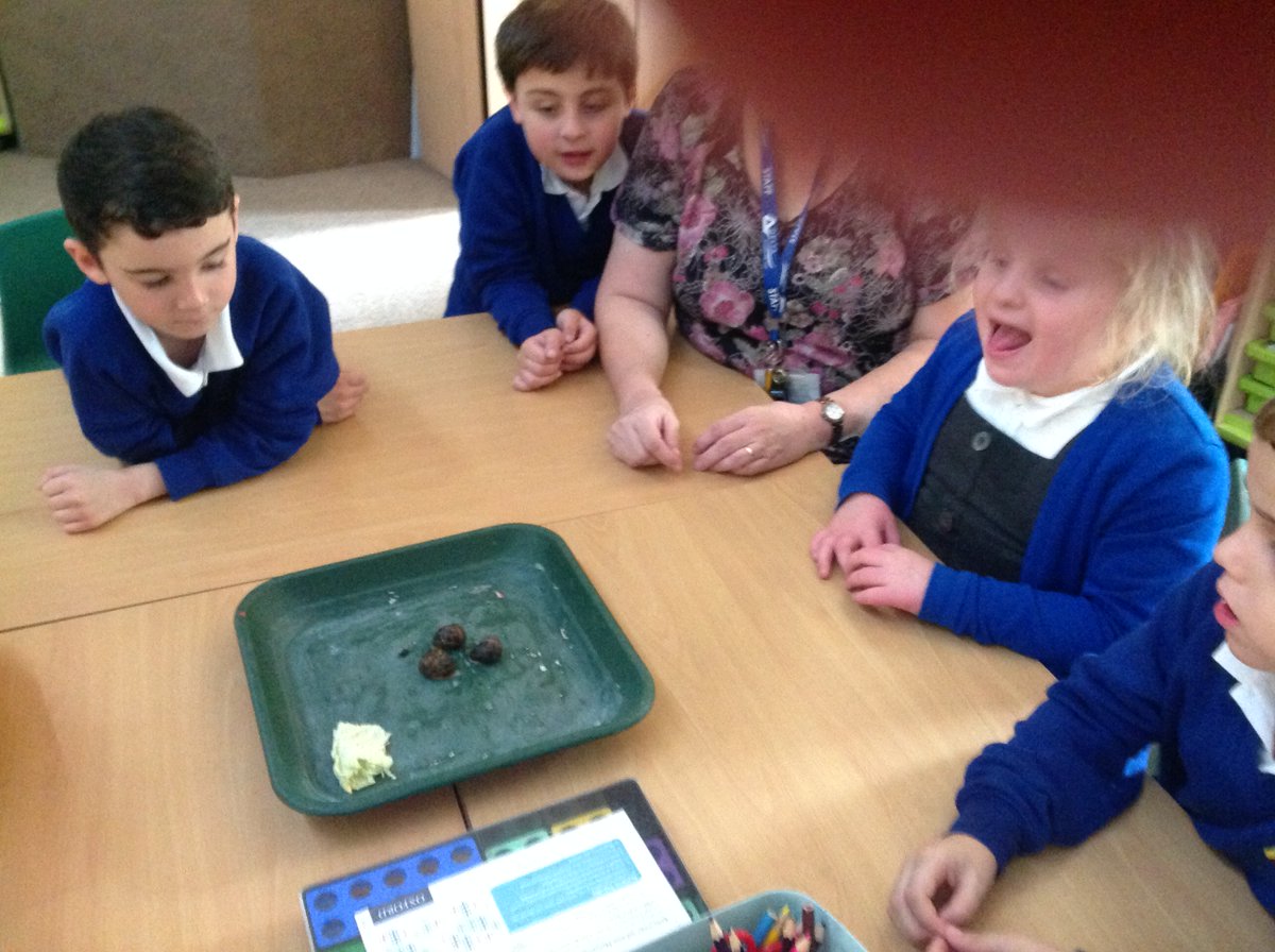 WillowGreenReception tweet media