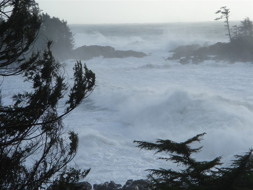 TheGrayTeamUkee's tweet photo. Brave the Wild!
#StartLivingInUkee #RealEstate #Ucluelet #Tofino #Hiking #WildPacificTrail #Beach #Photography #ExploreBC #CoastSmart
by Aaron Bostrom https://t.co/Y5FuzY3Wx8