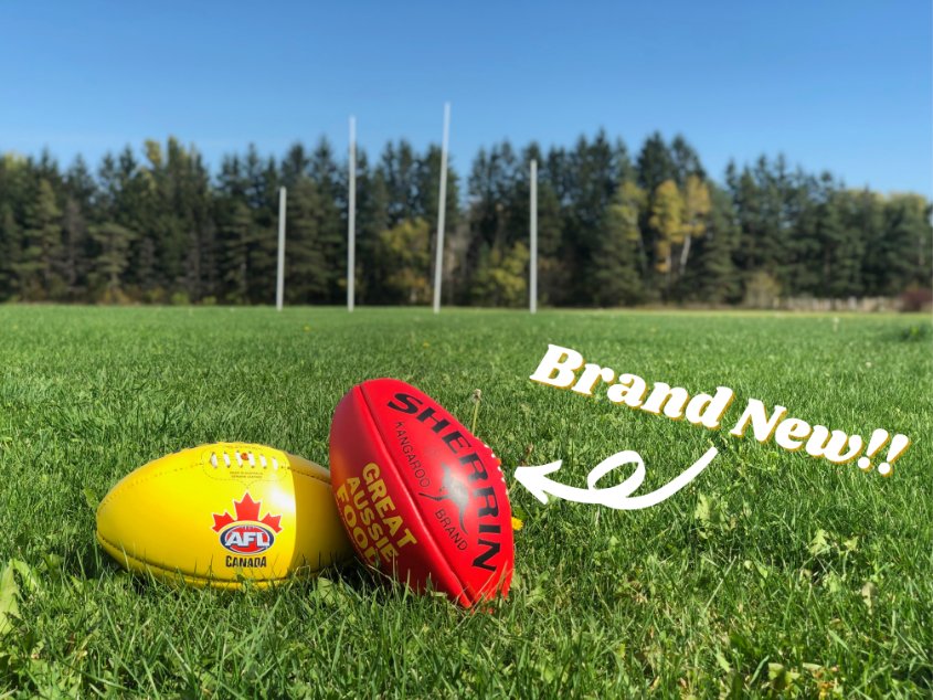 JUST ARRIVED:

Our BRAND NEW Sherrin Footys sponsored by our friends at Great Aussie Food! 😍😍😍

We're celebrating with free shipping in the AFL Canada Shop - use the code SHIP4FREE at checkout to get yours!

aflcanadashop.ca

#JoinAFLCanada