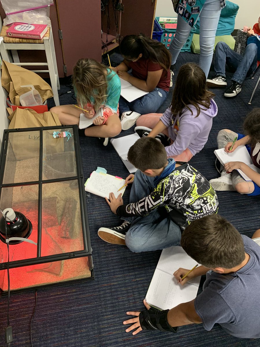CafeauKate's tweet photo. 5th graders writing about external and internal character traits with Penny the Rosy Boa. @LivingMaterials @BayEaglesSoar @ClearCreekISD https://t.co/Mo8RjPUXa3