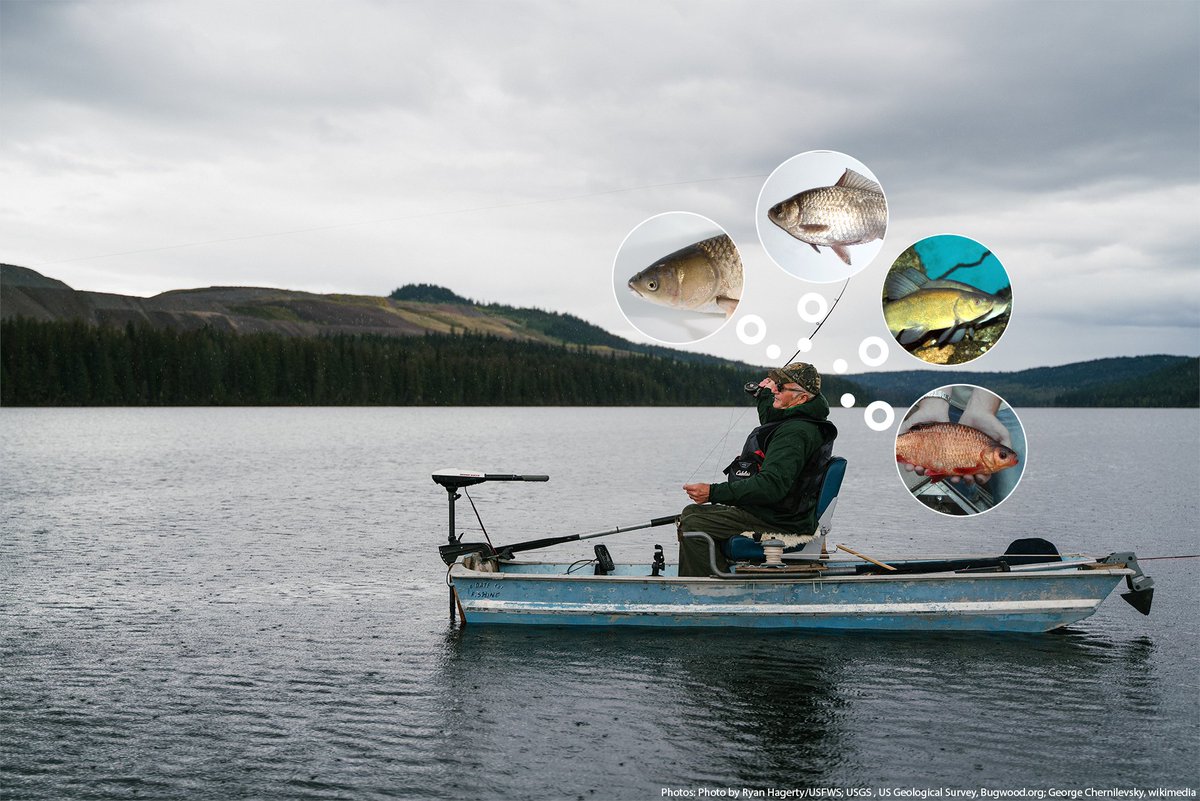 Invading Species on Twitter: