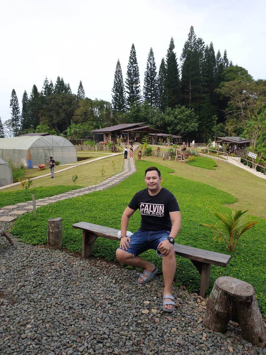 IamDaveon's tweet photo. Greeneries 🌲🌲🌲 https://t.co/iHxoGnaWMh
