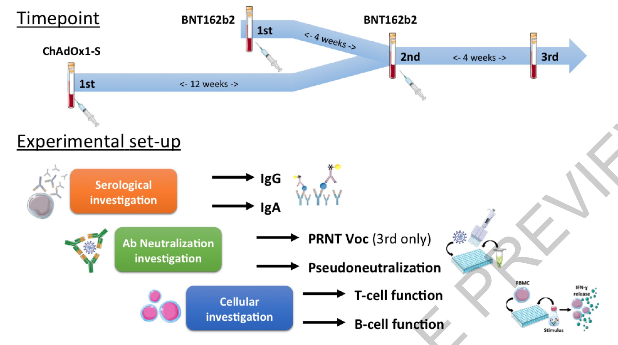 Vs pfizer az RACGP