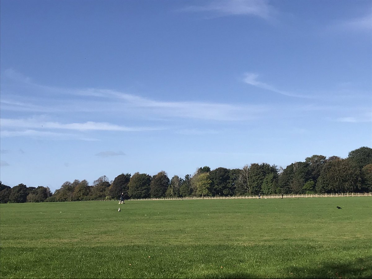 wallyhallpark's tweet photo. Working in the most glorious place is a privilege, it changes so much from the weather to what’s growing & the wildlife #apleasure @ParksCommUK @lpoolcouncil @LiverpoolParks @bloodyromans @AlsopRESPECT20 @groundworkuk @SFarms_Gardens @TNLComFund @WUParks https://t.co/mezLyjQyXM