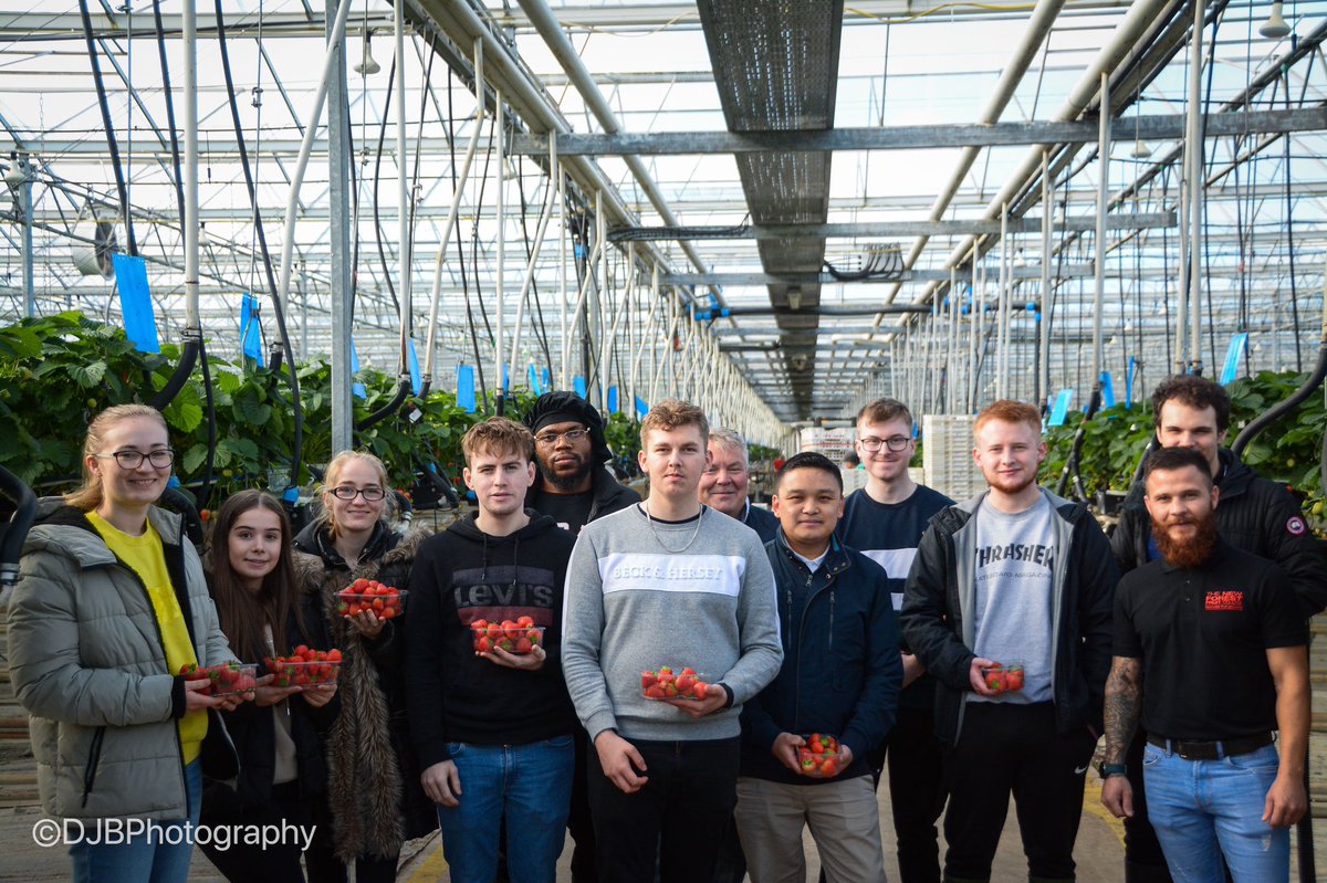 NewForestFruit tweet media