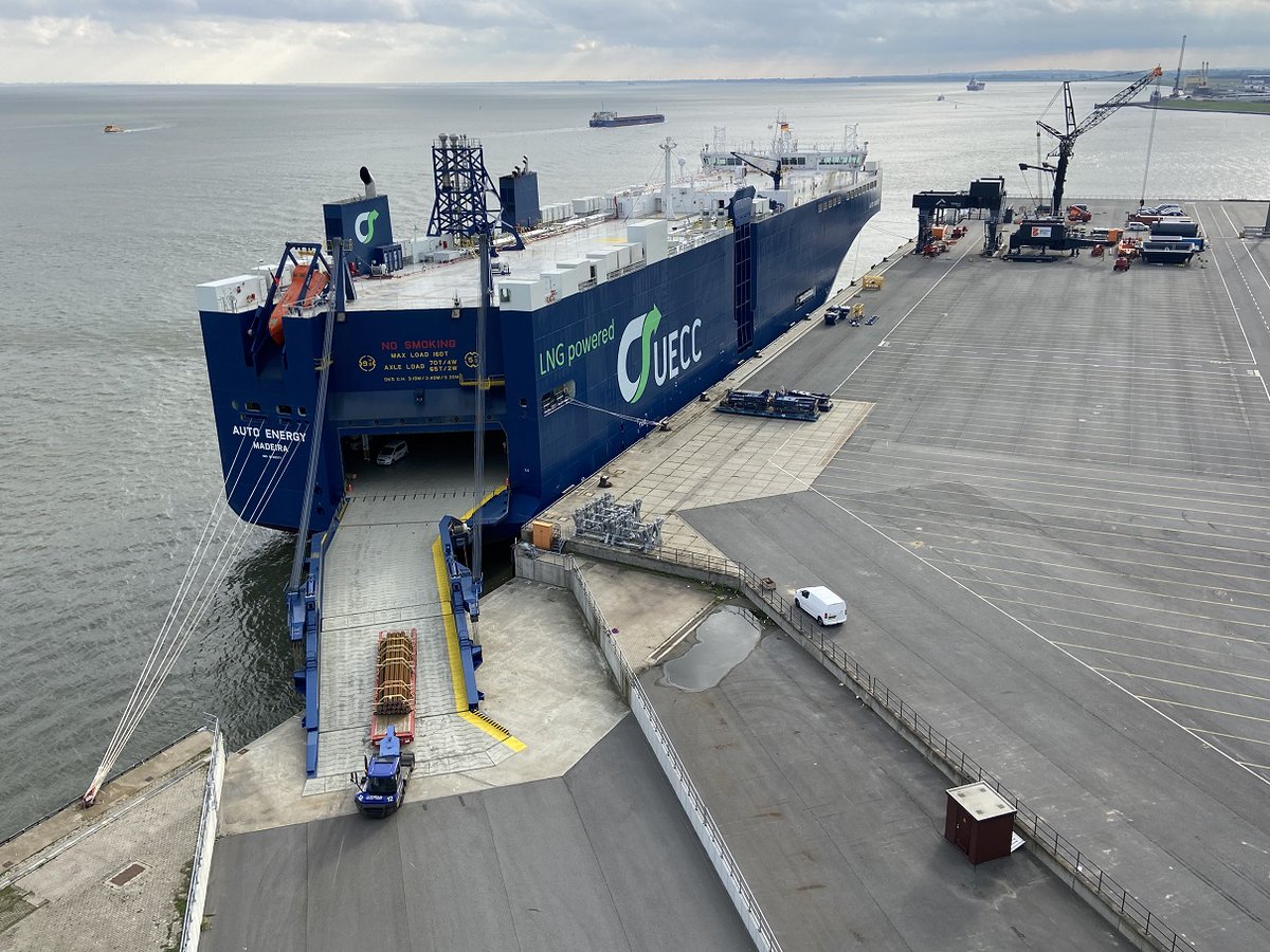 HWG Cuxhaven tweet media
