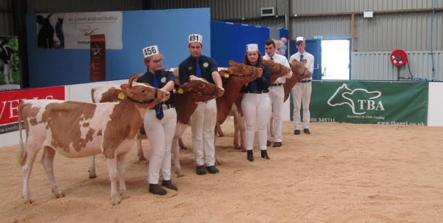 We were delighted to sponsor the <a href="/HolsteinUK/">Holstein UK</a> #AllBritainallBreeds #CalfShow recently. A lovely thank you note recd. "Thank you very much for your generous sponsorship - appreciated. Pictured are the Guernsey heifers that took part &amp; were from Cornwall Leicestershire &amp; Somerset."