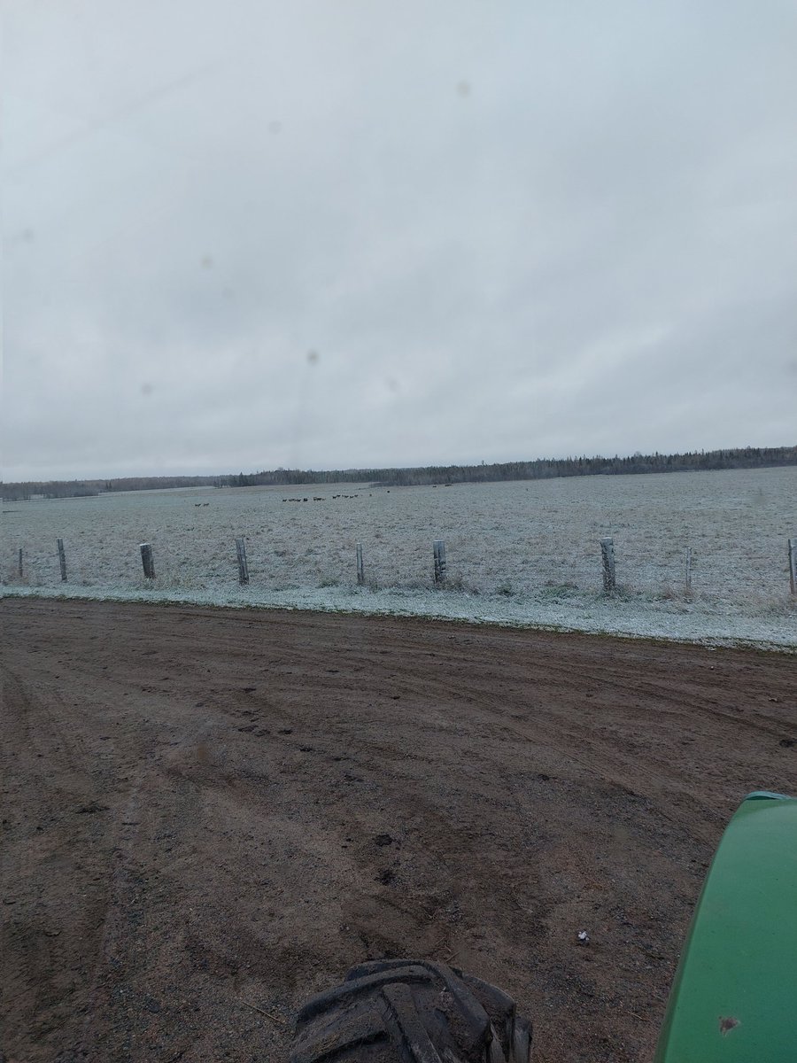 Snow here this morning