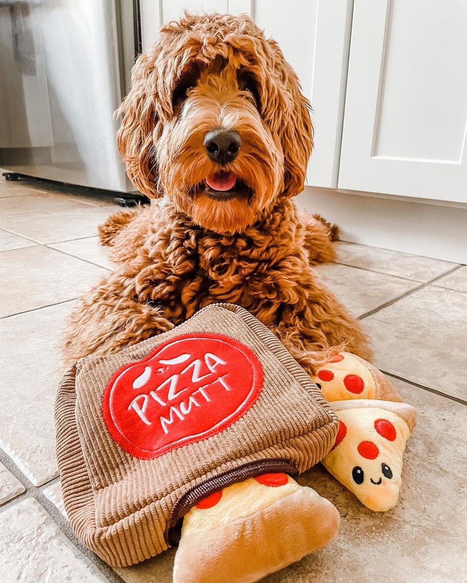 Pet Craft Supply Co. tweet media