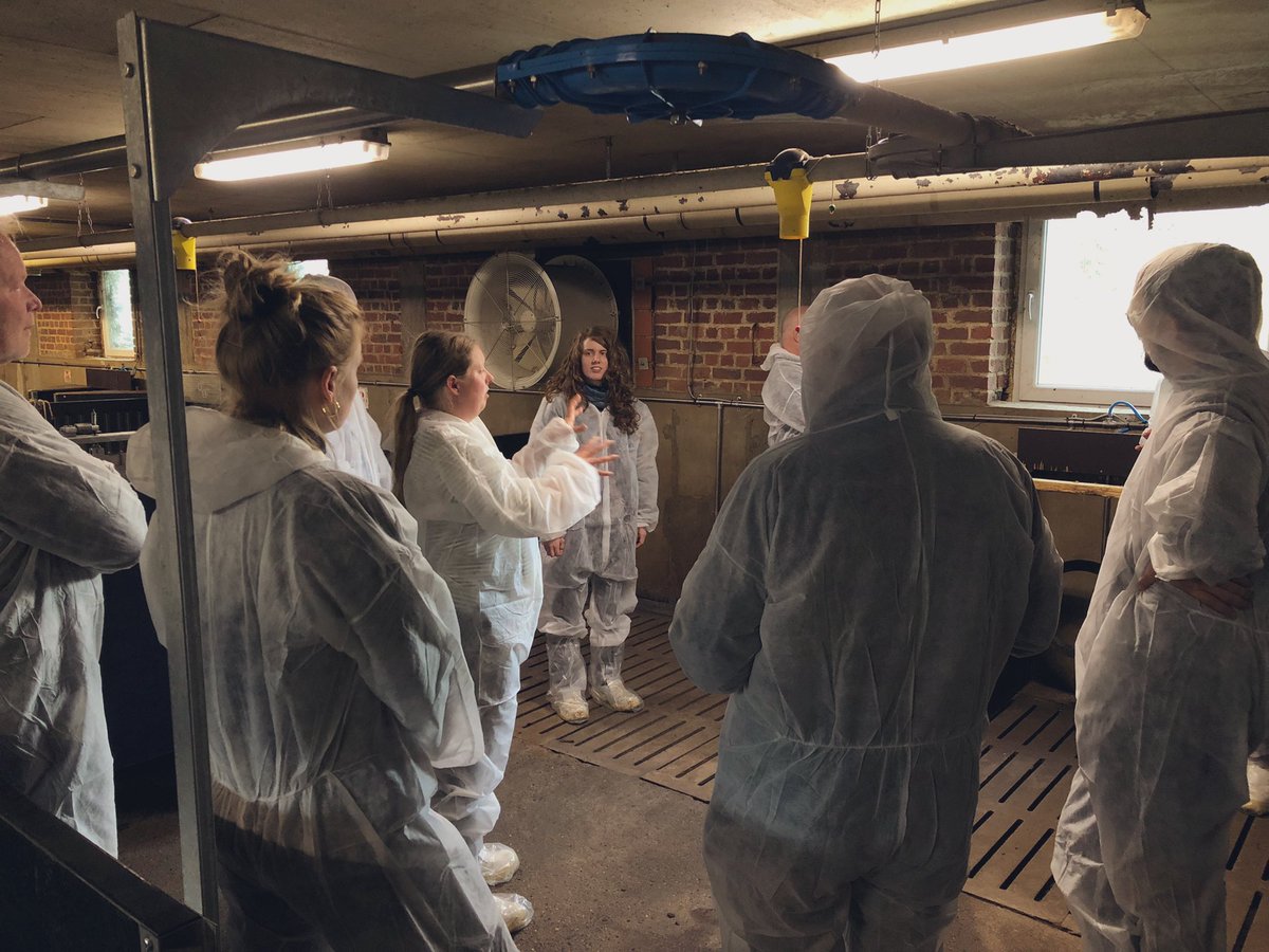 SmartAgriHubs's tweet photo. The #SAH RC North-West Europe is organised a 2 days event with its FIEs at @ILVOvlaanderen facilities in #Ghent
Currently visiting the #pig #barn filled with #smart #technology! Great to meet again 👍
#smarthealthpig #iof2020 #livestock #farming #agriculture https://t.co/TW1XAjFSlb