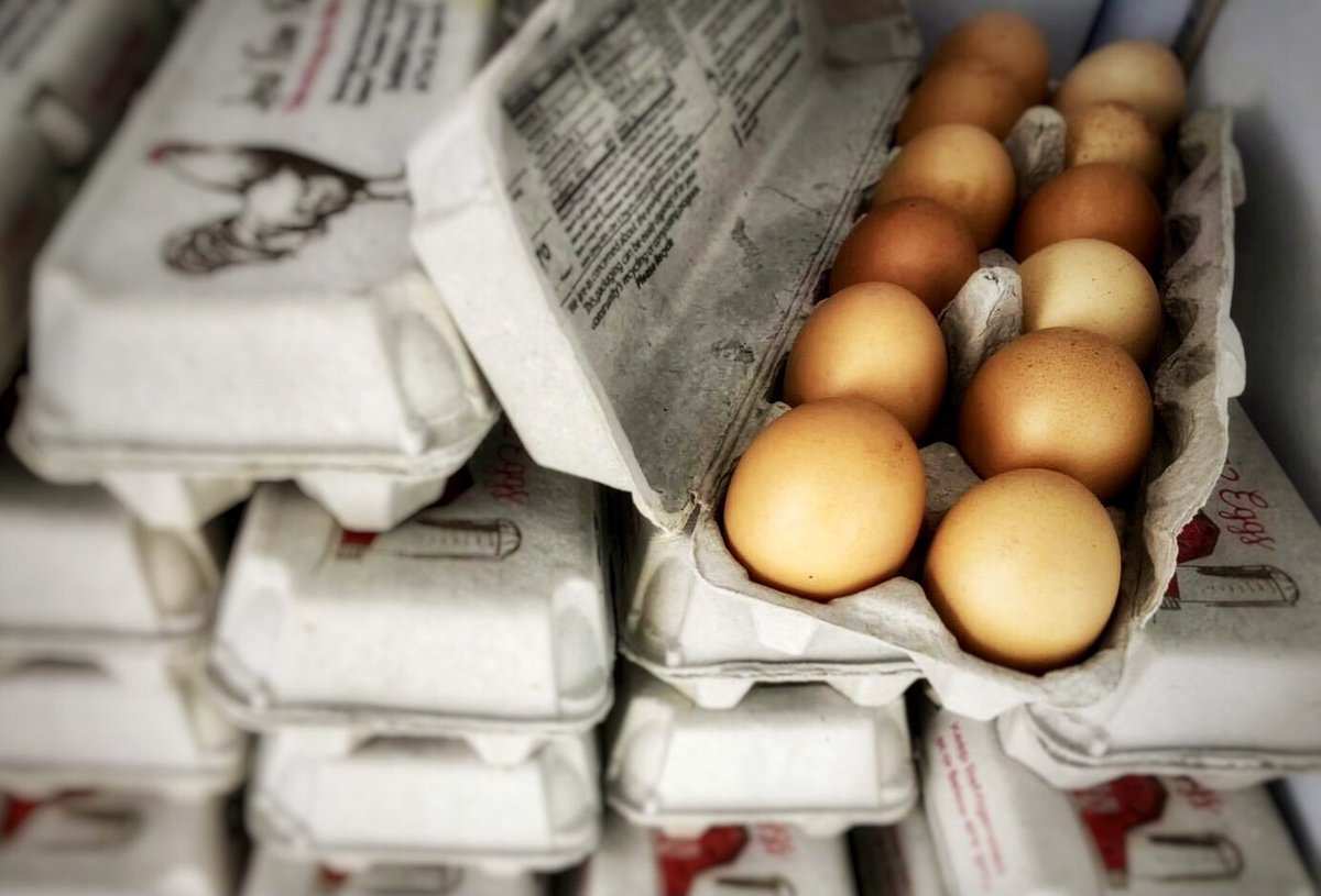 AdamsRicciFM's tweet photo. Farm fresh? Yes, we “G’Autumn.” 
🍂🍁🎃🤣 Free-range brown eggs, pasture-raised pork, beef &amp; poultry (including Thanksgiving turkeys to order). And fresh homegrown produce, homemade baked goods and more, PA wines and beer, food truck &amp; live music. https://t.co/HYmoxEwuZv https://t.co/E8o1aWVzNv