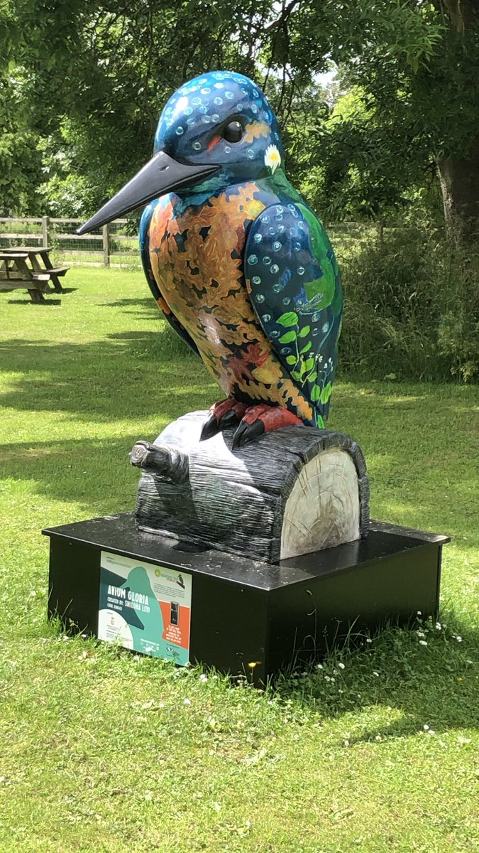 <a href="/Kingfisher2021/">Kingfisher Trail</a> The Crown of Kingfishers are ready for their new forever homes. Good luck to the Cotswolds National Landscape team in raising as much money as possible at this evenings #KingfisherTrail Auction at the stunning Pittville Pumps Rooms in Cheltenham. #kingfishers