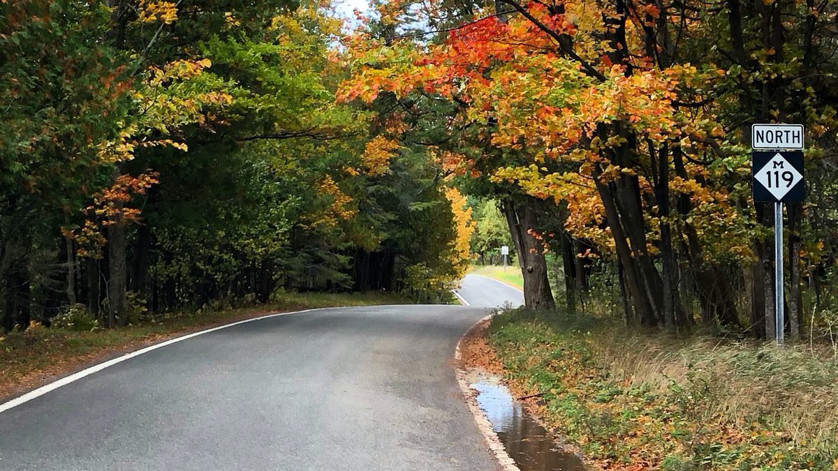 tunneloftrees's tweet image. Peaking. 🍂😂🤎 #TunnelofTrees #M119