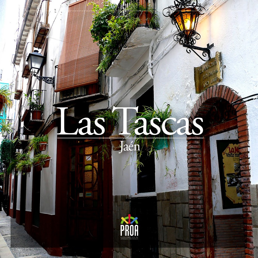 proajaen's tweet photo. Lugares emblemáticos de Jaén.
¿Cuál es tu preferido?
1. La Cruz del Castillo.
2. La Judería.
3. Las Tascas.
4. Barrio de San Juan.

#Jaén #turismo #patrimonio #JuderiaJaen #LasTascasJaen #LasTascas #SanJuanJaen #CastilloSantaCatalinaJaen #proajaen https://t.co/Rp3mD5FkCv
