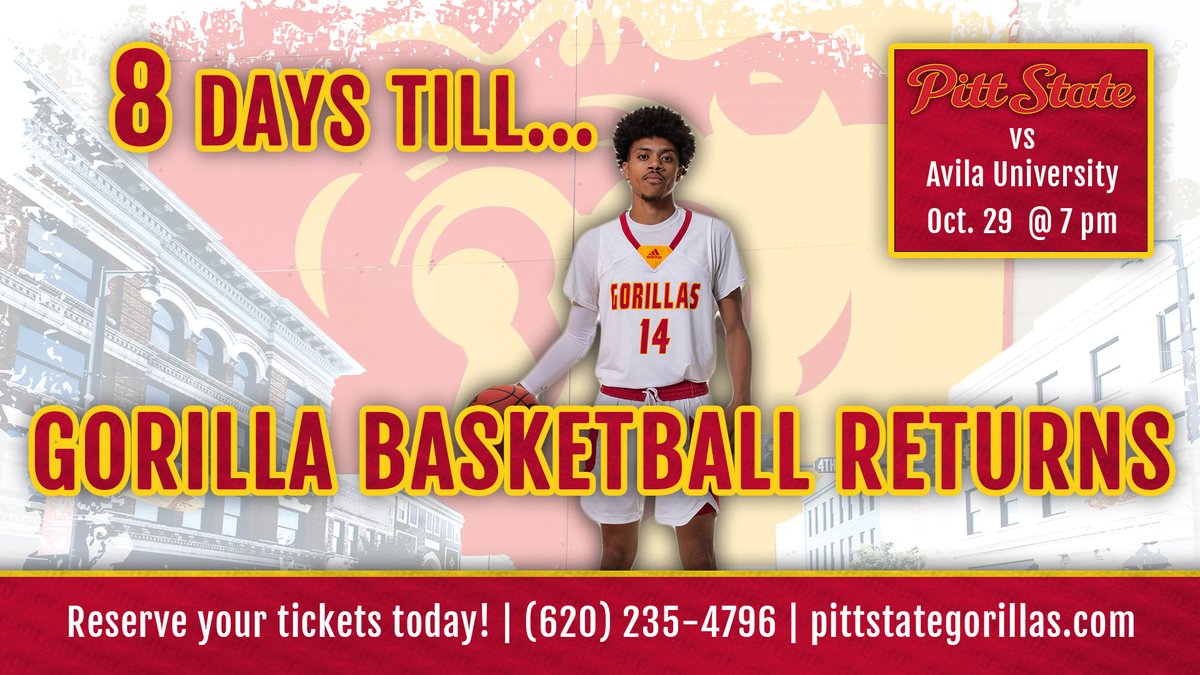 PittStGorillas's tweet photo. https://t.co/nrEFifGn08