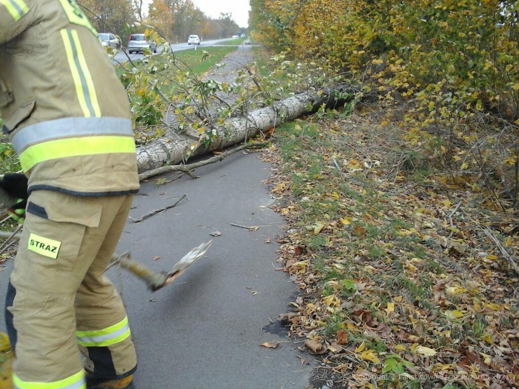 KP_PSP_Chojnice's tweet photo. Strażacy powiatu chojnickiego interweniują podczas usuwania skutków silnego wiatru. Licząc od godzin południowych odnotowaliśmy łącznie 13 zdarzeń (zakończonych i trwających), w których udział brali zarówno strażacy PSP i OSP. https://t.co/vuMHyQnEHx