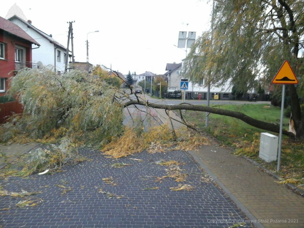 KP_PSP_Chojnice's tweet photo. Strażacy powiatu chojnickiego interweniują podczas usuwania skutków silnego wiatru. Licząc od godzin południowych odnotowaliśmy łącznie 13 zdarzeń (zakończonych i trwających), w których udział brali zarówno strażacy PSP i OSP. https://t.co/vuMHyQnEHx