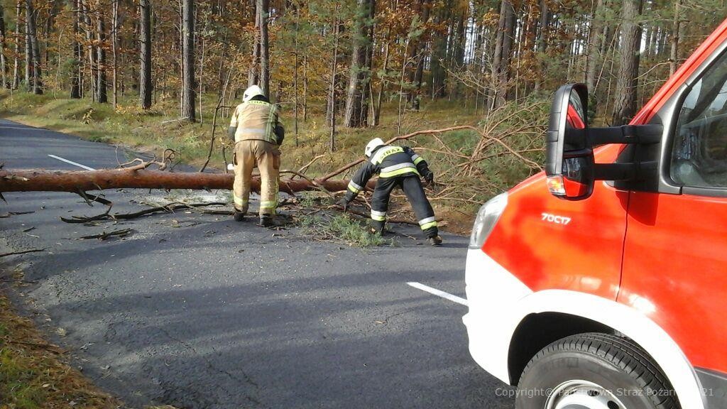 KP_PSP_Chojnice's tweet photo. Strażacy powiatu chojnickiego interweniują podczas usuwania skutków silnego wiatru. Licząc od godzin południowych odnotowaliśmy łącznie 13 zdarzeń (zakończonych i trwających), w których udział brali zarówno strażacy PSP i OSP. https://t.co/vuMHyQnEHx