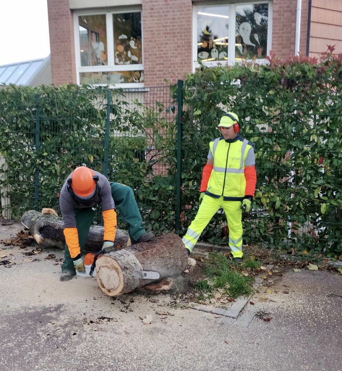 fontenay92's tweet photo. #jeudiphoto📸 

Suite au passage de la #tempeteaurore nos équipes @fontenay92 sont mobilisées sur le terrain pour nettoyer et sécuriser la ville : arbres, branches, barrières…
 
❗️Parcs et squares fermés jusqu’au nettoyage complet des dégâts par nos équipes des espaces verts🌳🌲 https://t.co/SLFerEG97k
