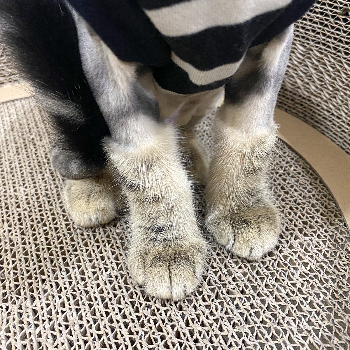 บ้านน้ำท่วมต้องใส่บูทฮะ