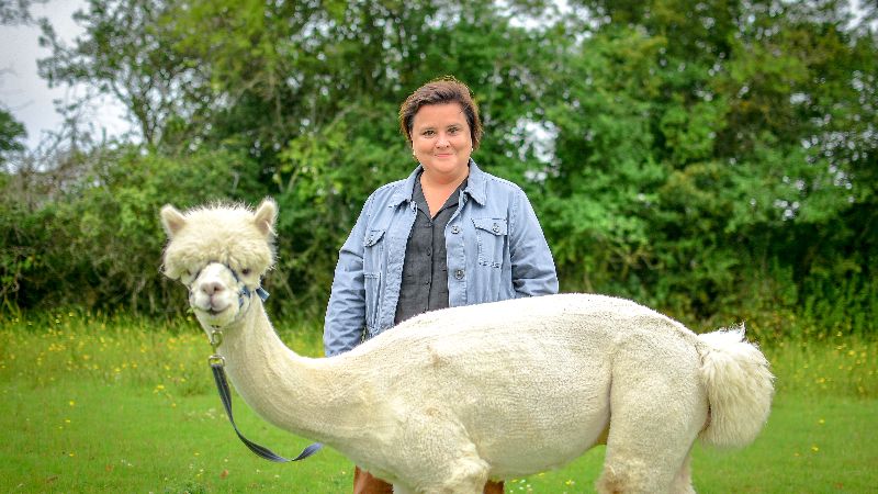 Alpacas_farm's tweet photo. We're on TV! Plus Halloween &amp; Christmas - covered! - https://t.co/uwzhQN7JXo https://t.co/hzMv4uWxiE