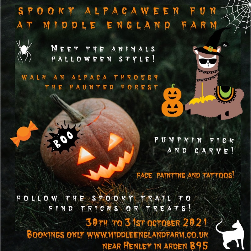 Alpacas_farm's tweet photo. We're on TV! Plus Halloween &amp; Christmas - covered! - https://t.co/uwzhQN7JXo https://t.co/hzMv4uWxiE