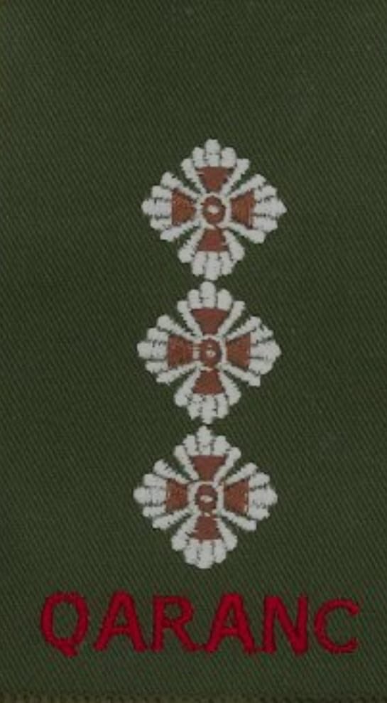 _Royal_AMS's tweet photo. A massive congratulations to the soldiers who were successful on their Late Entry Commission journey👏.  For those who are joining RAMC, RAVC, RADC and QARANC within the Army Medical Services. 

#FindWhereYouBelong
#ArmyConfidence https://t.co/xvgDH72FV9
