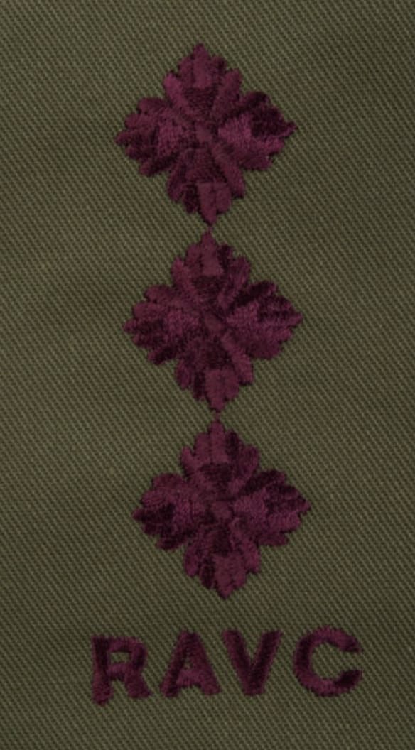 _Royal_AMS's tweet photo. A massive congratulations to the soldiers who were successful on their Late Entry Commission journey👏.  For those who are joining RAMC, RAVC, RADC and QARANC within the Army Medical Services. 

#FindWhereYouBelong
#ArmyConfidence https://t.co/xvgDH72FV9
