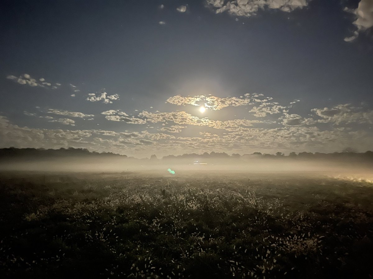 A yes Indiana morning