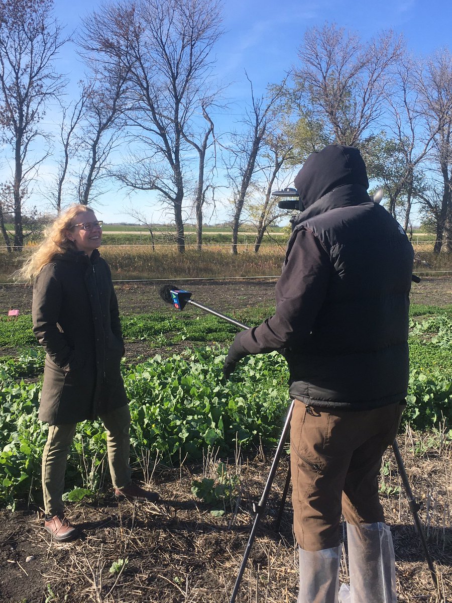 My professor <a href="/YvonneLawley_UM/">Yvonne Lawley</a> and I appeared on CTV news last night to discuss cover crops on the Canadian Prairies 🇨🇦 at our <a href="/umanitoba/">University of Manitoba</a> Glenlea Research Farm