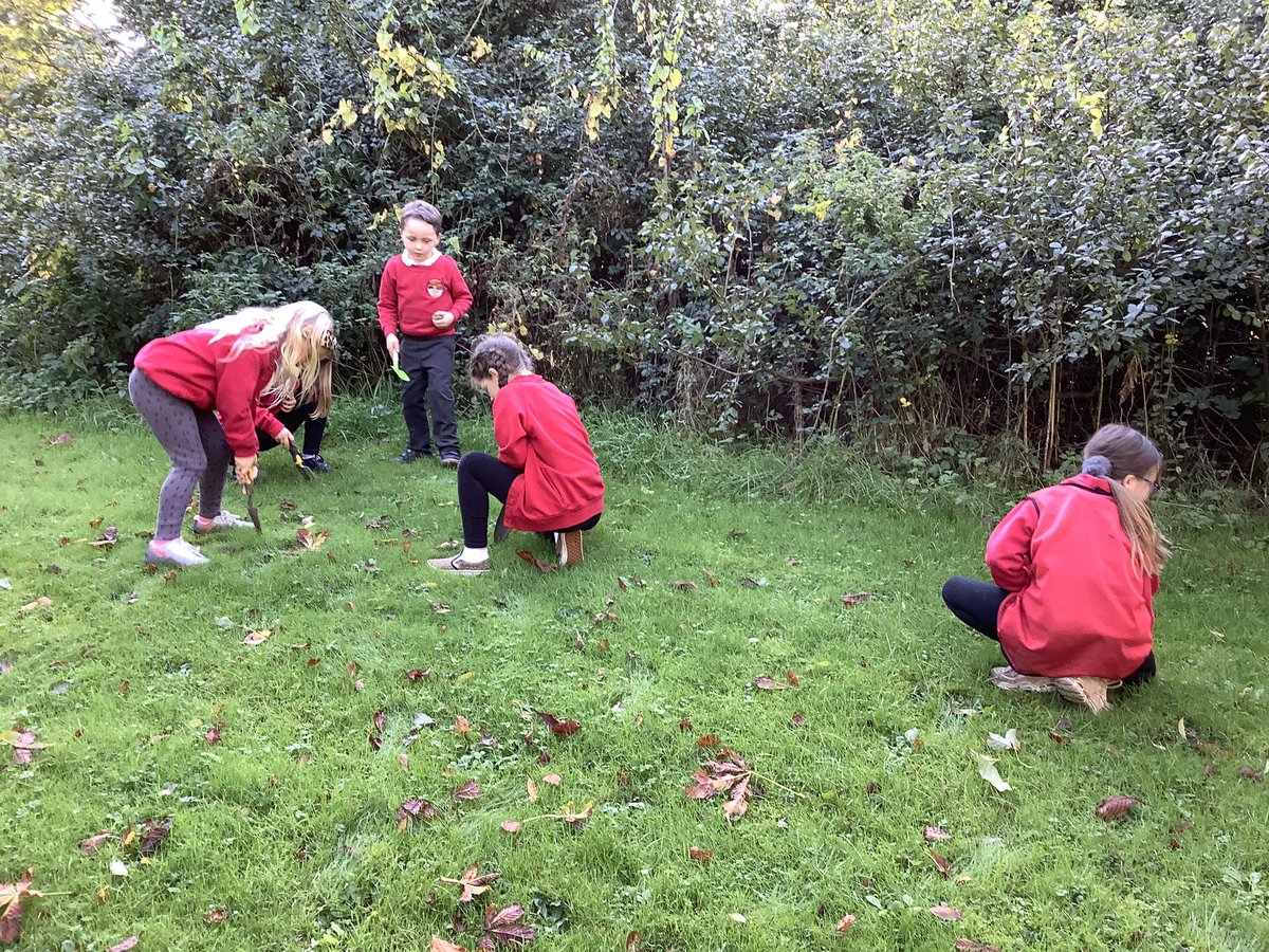#eco Clwb Eco planting our daffodils.Hopefully we will see the results on the Spring.Diolch Councillor Richard Lewis for the donation.