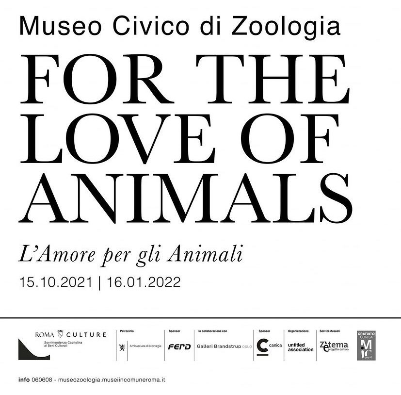 TracciaR's tweet photo. #tracciaromaconsiglia “L’amore per gli animali”, fino a gennaio 2022 una mostra per gli amanti degli #animali e delle #sculture! Da non perdere! #tracciaroma @museiincomune https://t.co/4QgyPuI1Rb