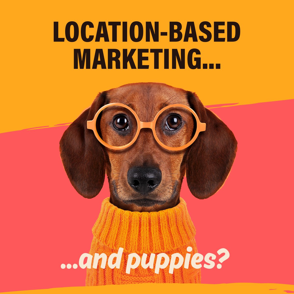 Location-based marketing is a smart, targeted way to reach your ideal customers. For example, if you want to reach pet owners, our online campaigns will serve ads to pet owners who are visiting local vets, groomers, or pet supply shops. 

Learn more: hubs.li/H0ZQQvT0
