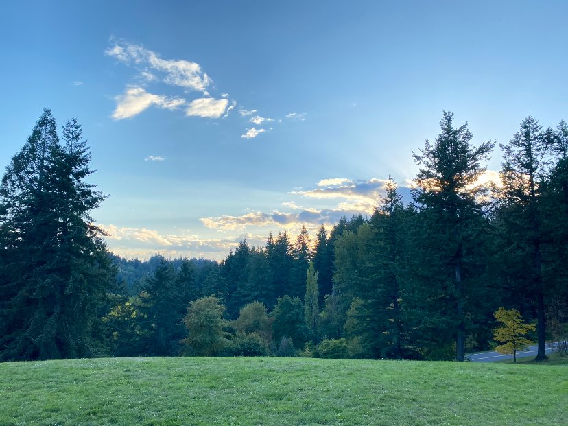 Thinking of turning this into a picto-journal #photography