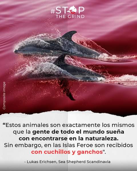 Sea Shepherd España tweet media
