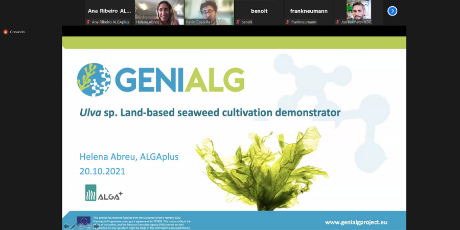 🌊🌱👩‍🌾for future generations💚
Happy &amp; proud to present our results at the final <a href="/GENIALG_EU/">GENIALG</a> #H2020 project meeting!
Congratulations to all partners for the great work to enhance the supply of quality #seaweed biomass in Europe based on #sustainable seaweed #aquaculture 👏💪