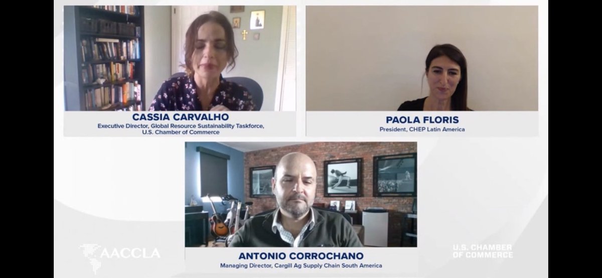 ED, Global Resource Sustainability, <a href="/USChamber/">U.S. Chamber</a> Cassia Carvalho moderates the segment on “Private Sector Leadership on Sustainability” at #FOLAC2021 with @plfloriscarfil, President, CHEP Latin America &amp; Cargill’s Antonio Corrochano