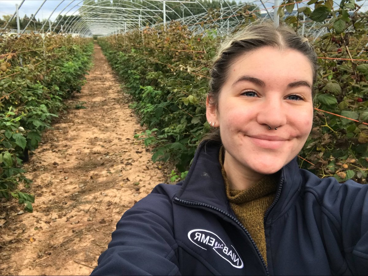 Another year of sampling UK raspberry farms completed!✅Thanks to <a href="/BS_PP/">British Society for Plant Pathology</a> who awarded me the COVID-19 PhD Student Support Fund, facilitating another crucial year of sampling. Doing a PhD during a pandemic isn't easy, good to see orgs being aware and helping out #phdvoice