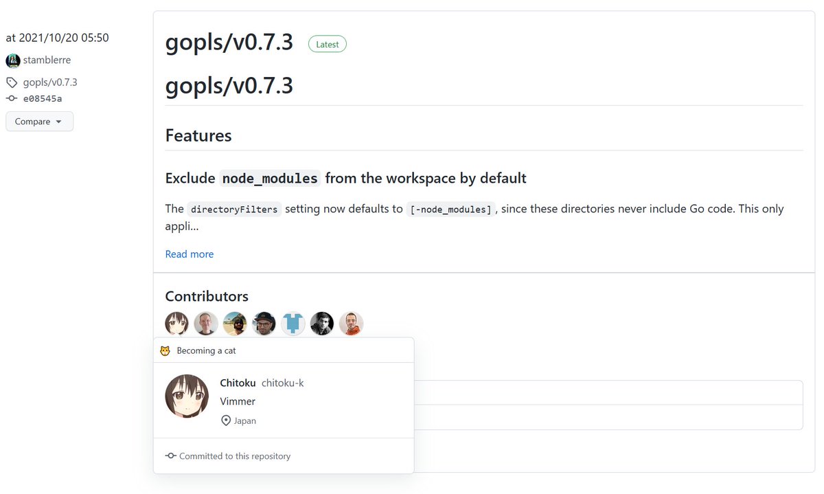 java_shit's tweet image. わーい github.com/golang/tools/r…