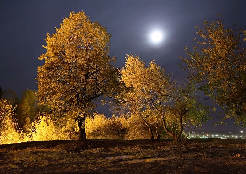 Осенний вечер октября. Осенняя ночь. Ночь осенью. Природа ночью. Лунная ночь осенью.
