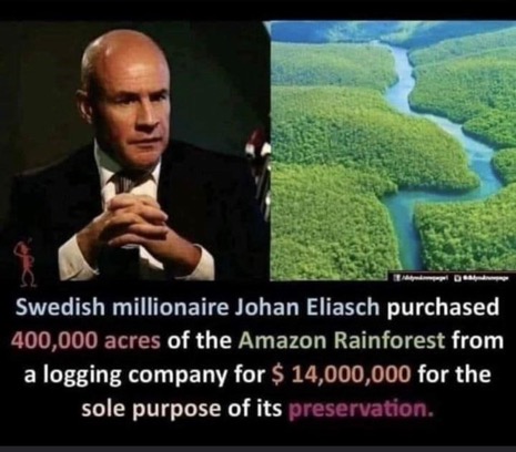 RayBernoties's tweet photo. Maybe the new #wealthbrag should be how much forest you've protected...instead of how long you looked out a window in space? #forestrace #thursdayvibes https://t.co/QptlJZCa0q