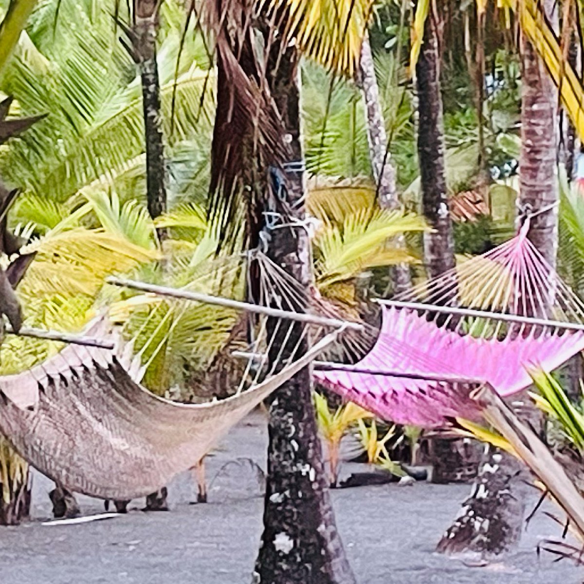 IntSurfProps's tweet photo. Don’t worry about nothin’
Just me and you 🌴
#costarica #zancudo #pavones #expats #retirement #realestate #surfproperties #beachlife #puravida #travel #love #daretolive #sunset #yoga https://t.co/UsF3k0zu7l