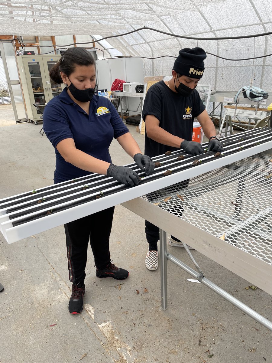 YouthBuildPCS's tweet photo. ¡Vea Youthbuild Students ayudando a su comunidad a construir un salón de clases al aire libre para la Universidad del Distrito de Columbia!#universityofdistrictofcolumbia https://t.co/SsWj2FEiKO