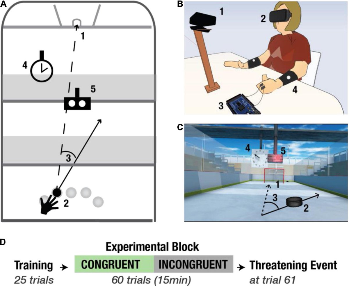 GrechutaKlaudia's tweet photo. What determines body boundaries? Do they exist?

By manipulating #perception in a #VR study, we found that #embodiment depends not only on sensorimotor contingencies but also on the congruency of the surrounding environment

👉 https://t.co/UVSy3l3kvl

@SPECS_lab @IBECBarcelona https://t.co/gTjXZiAzAQ