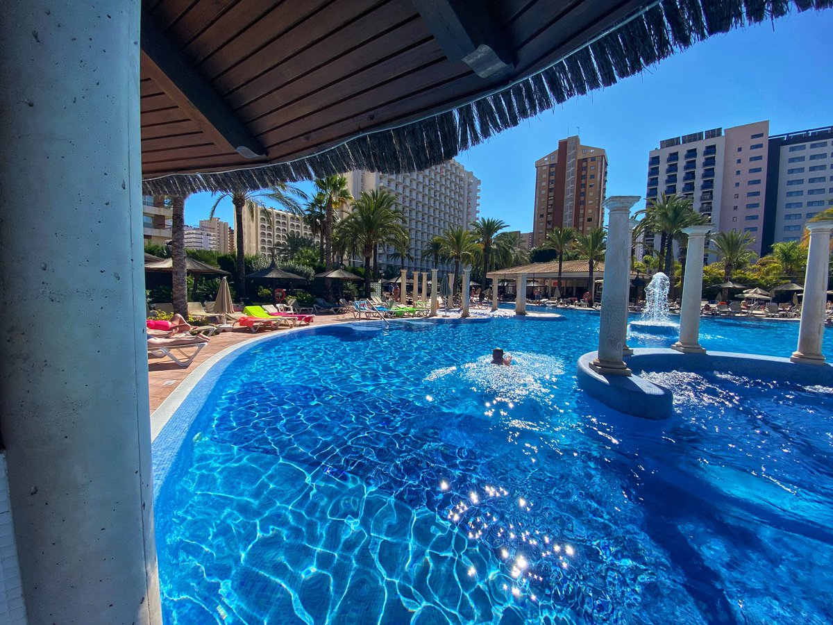 Sol Pelicanos Ocas tweet media