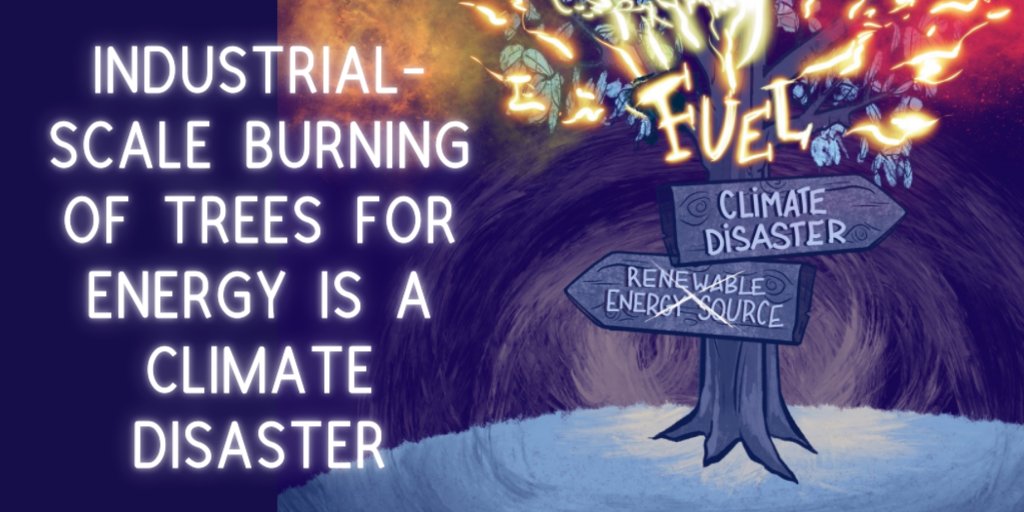 Today's International Day of Action on Big Biomass brings together groups & individuals around the world united against false solutions. Real action = real renewables, reduced emissions, ecosystem restoration, & community action. environmentalpaper.org/idoa/ #BigBadBiomass #COP26