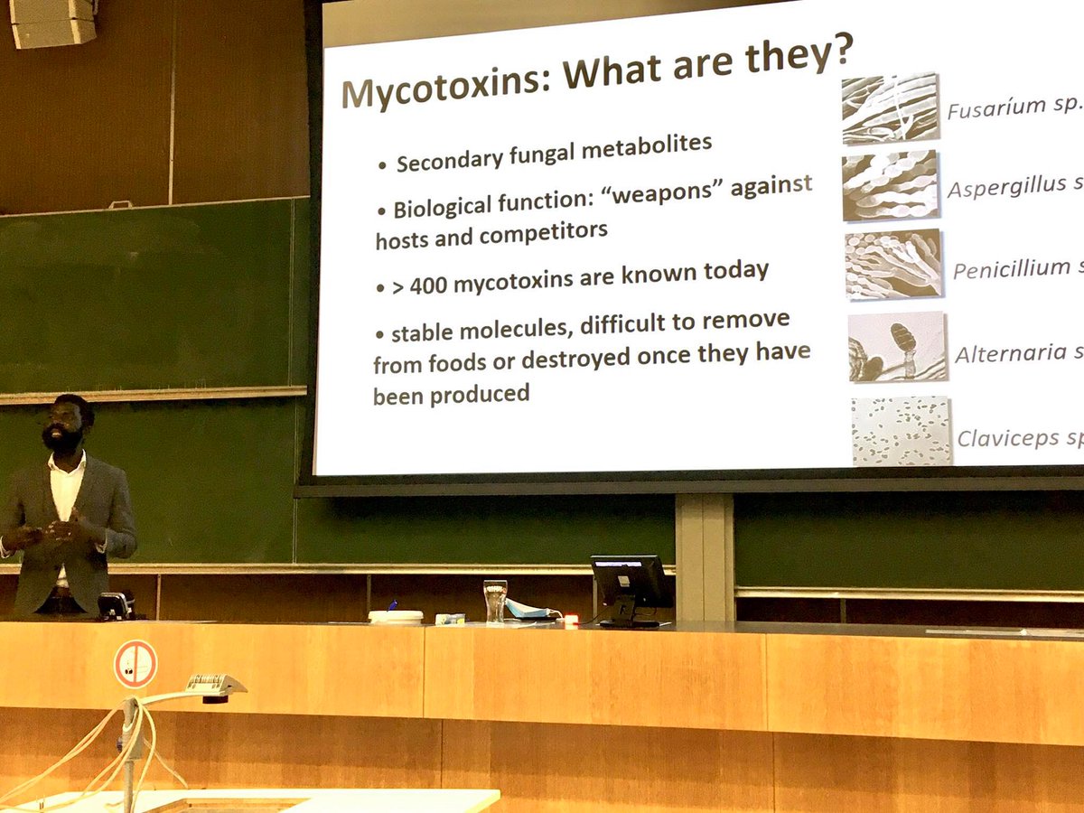 We had the honor to organize a guest lecture by Prof. dr. Limbikani Matumba at Ghent University. Prof. Matumba proposed the 5 keys to prevention and control of mycotoxins in grains. The presentation was well received by our students!