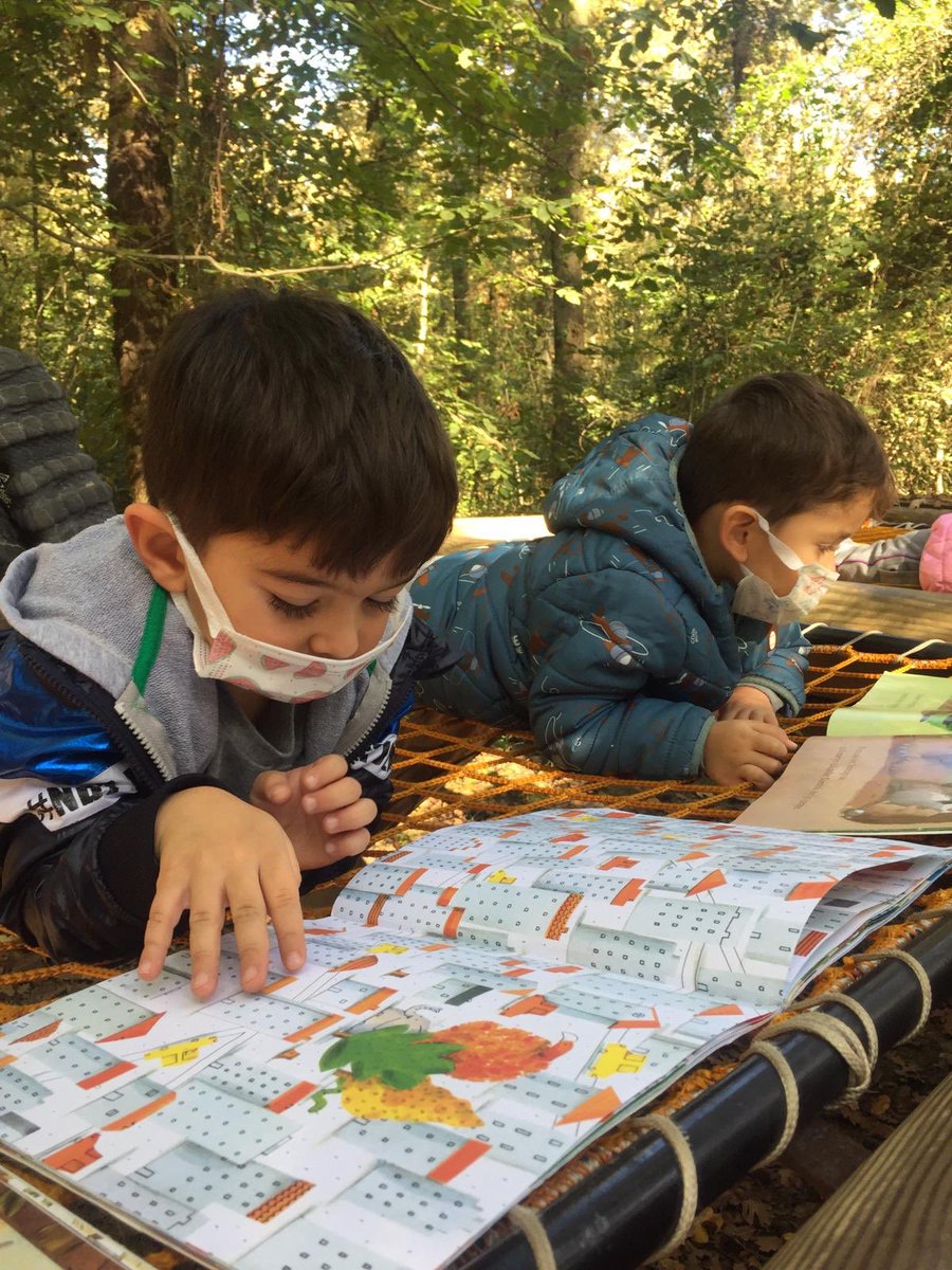 Ağaçlar, yapraklar, taşlar, kapı numaraları, sokak kedileri ve daha nice ‘sıradan’ şey Reggio çocuklar için bir merak ve araştırma konusu olabilir 🐢onları dünyaya maruz bırakarak merak etme fırsatını verelim yeter ki 🦕🔎📝